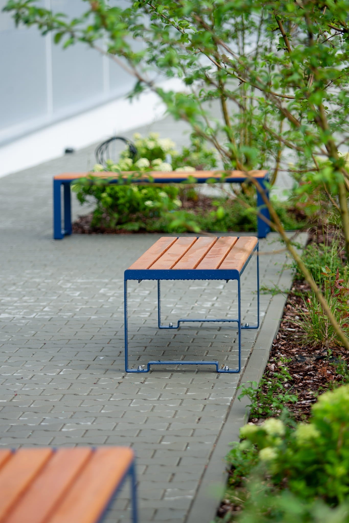 Modern outdoor public backless bench with wooden slats and blue metal legs on paved walkway
