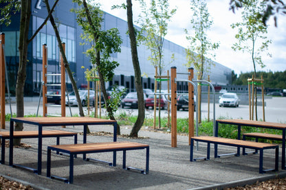 Outdoor public backless benches with metal frames and wood seats in a modern urban park setting