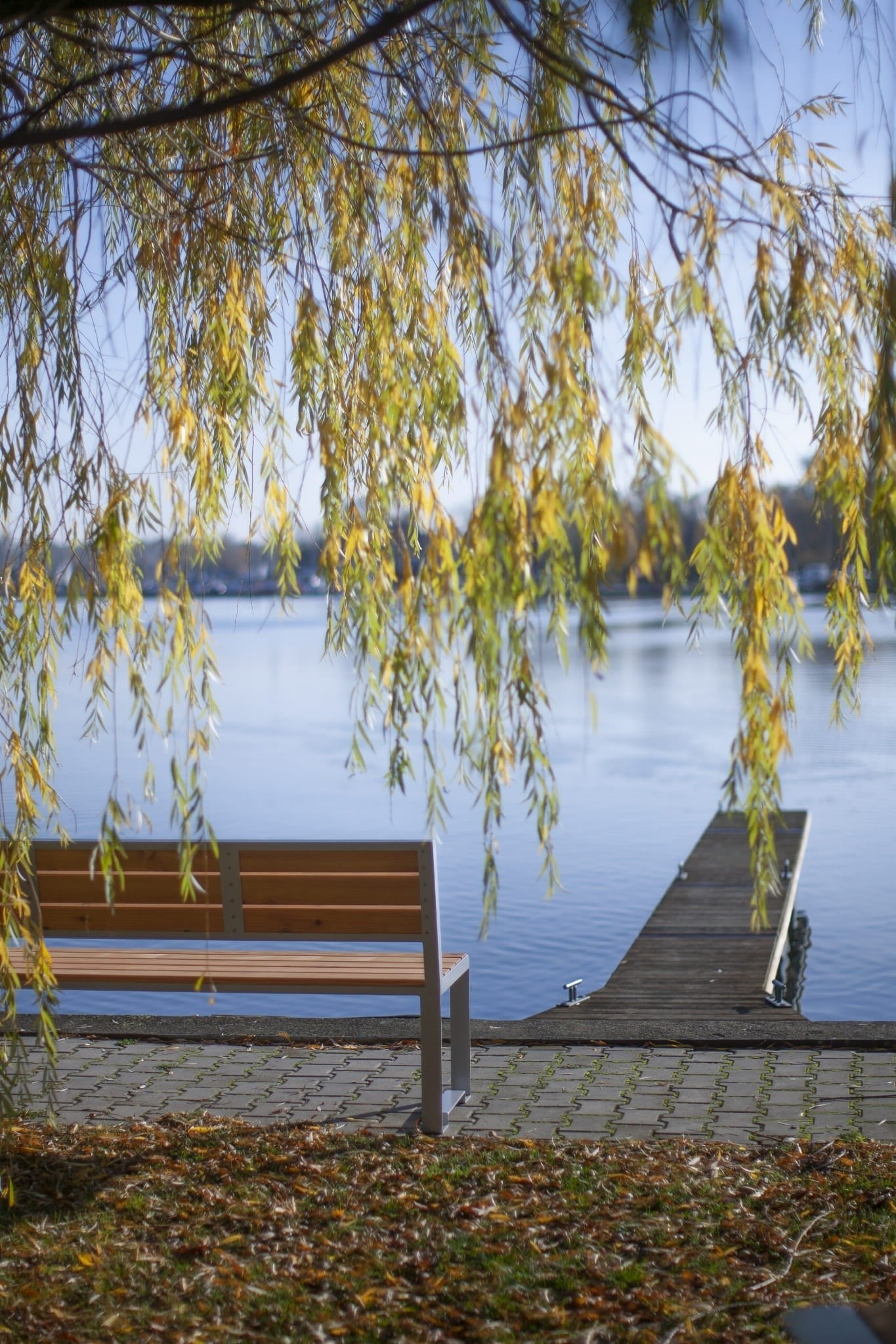 Three-seater public bench with backrest by a lakeside dock under willow branches outdoors