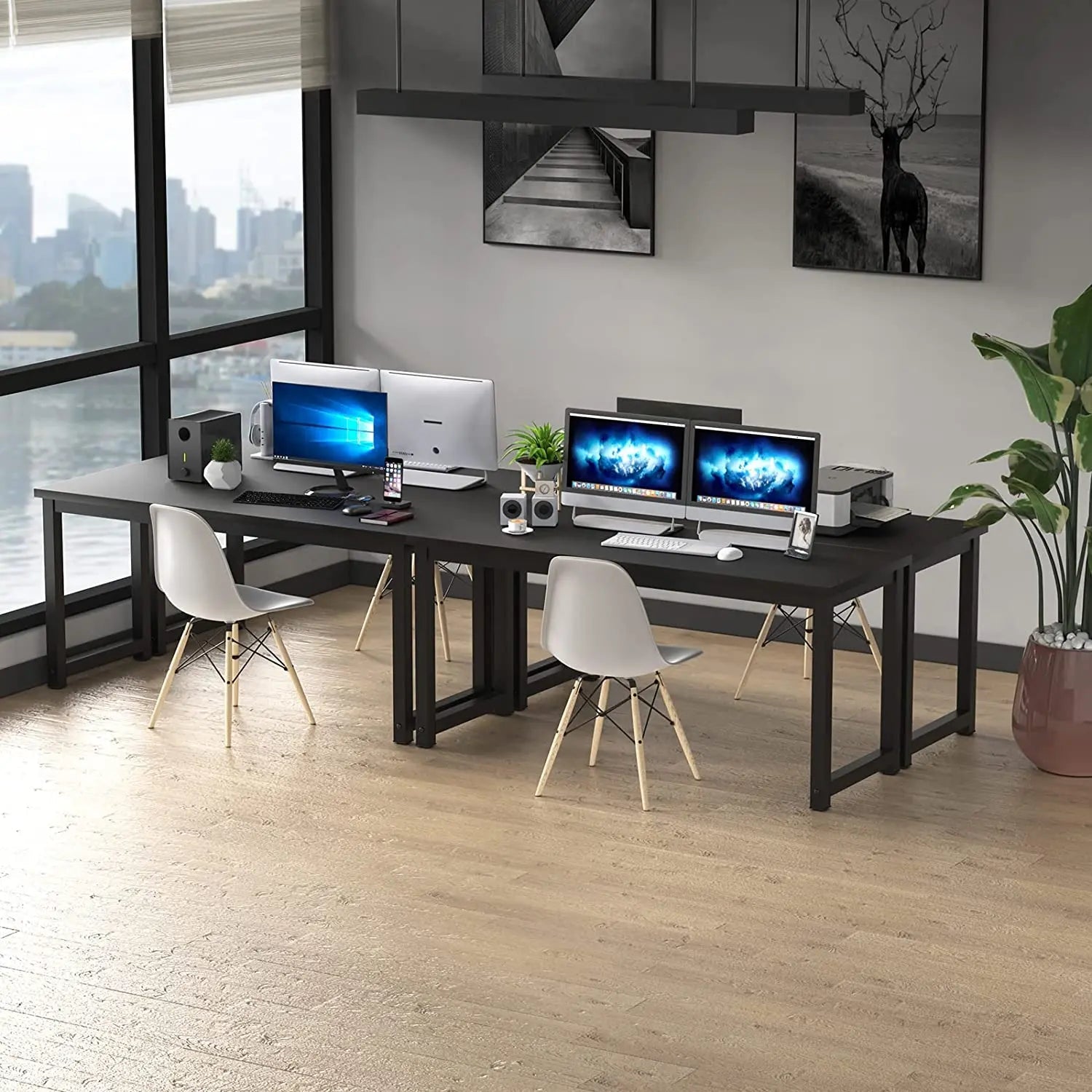 Modern black home office desk setup with computers, white chairs, and indoor plant