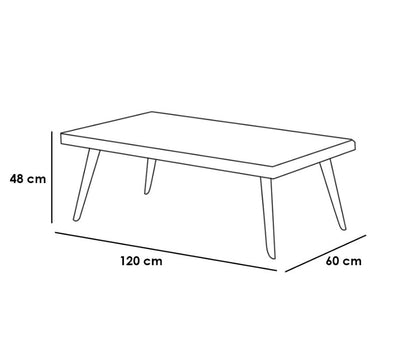 Center Table Black & Brown 120×60/48 Cm